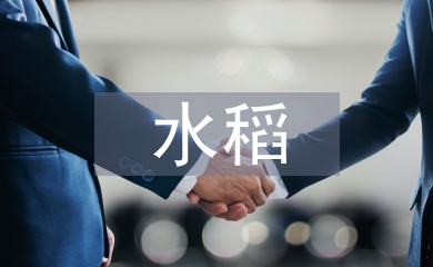 水稻專業(yè)技術(shù)工作總結(jié)