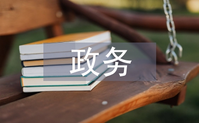 政務(wù)建設(shè)論文