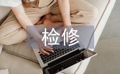 檢修掛職總結