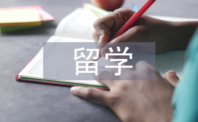 留學調查報告