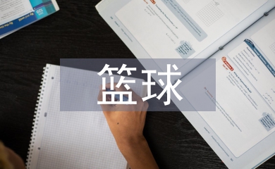 市籃球協會工作計劃