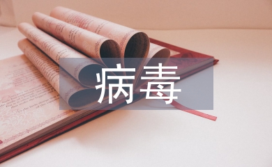 基于防火墻和病毒查殺的網絡安全機制