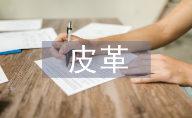皮革在現代室內設計中的應用