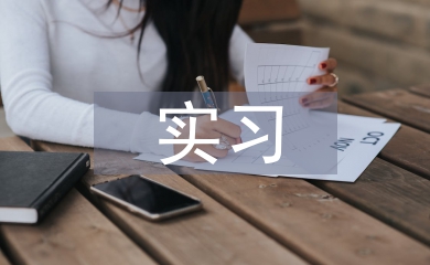 中專實習自我總結