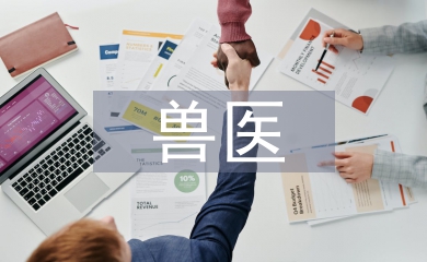 獸醫類論文