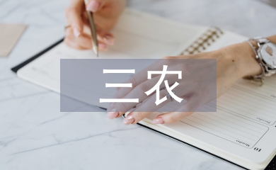 三農工作總結
