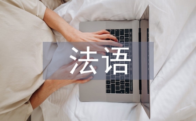 法語實訓總結