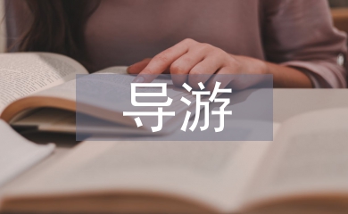 導(dǎo)游年度總結(jié)