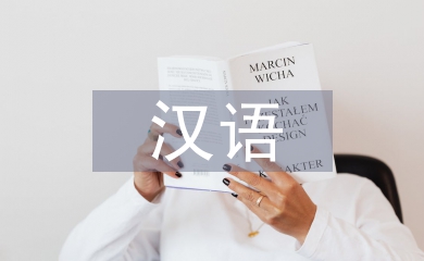 漢語國際教育存在的問題