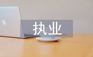 執業審計工作總結