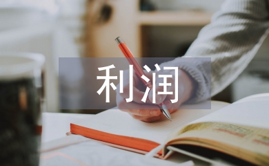 收入費用利潤實訓總結