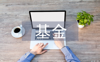 基金規模論文