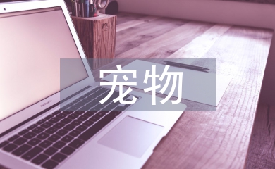 寵物醫生畢業論文