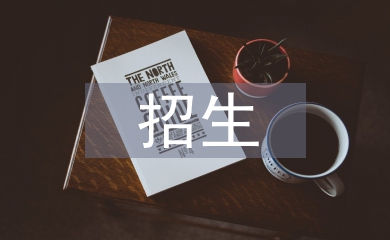 招生自查工作總結