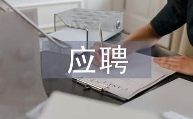 應(yīng)聘崗位工作計劃
