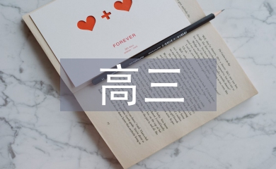 高三班主任家訪總結