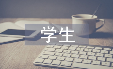 學(xué)生工作總結(jié)