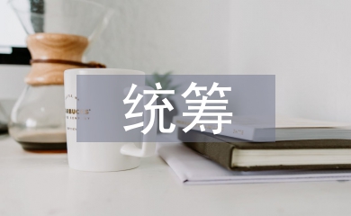 統籌管理論文