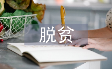 脫貧攻堅工作個人總結