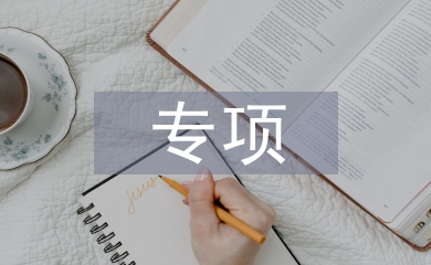 專項工作方案