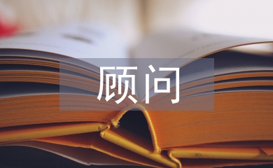 顧問總結