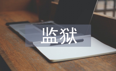 監獄醫生工作總結