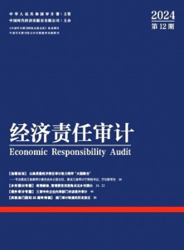 經(jīng)濟責(zé)任審計